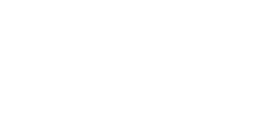 WDP — Wasatch Data Partners